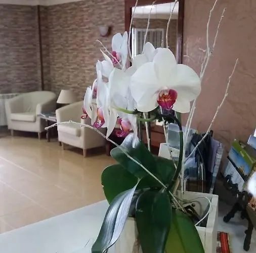 Rias Baixas Ξενοδοχείο Sanxenxo